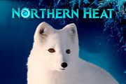Northern Heat